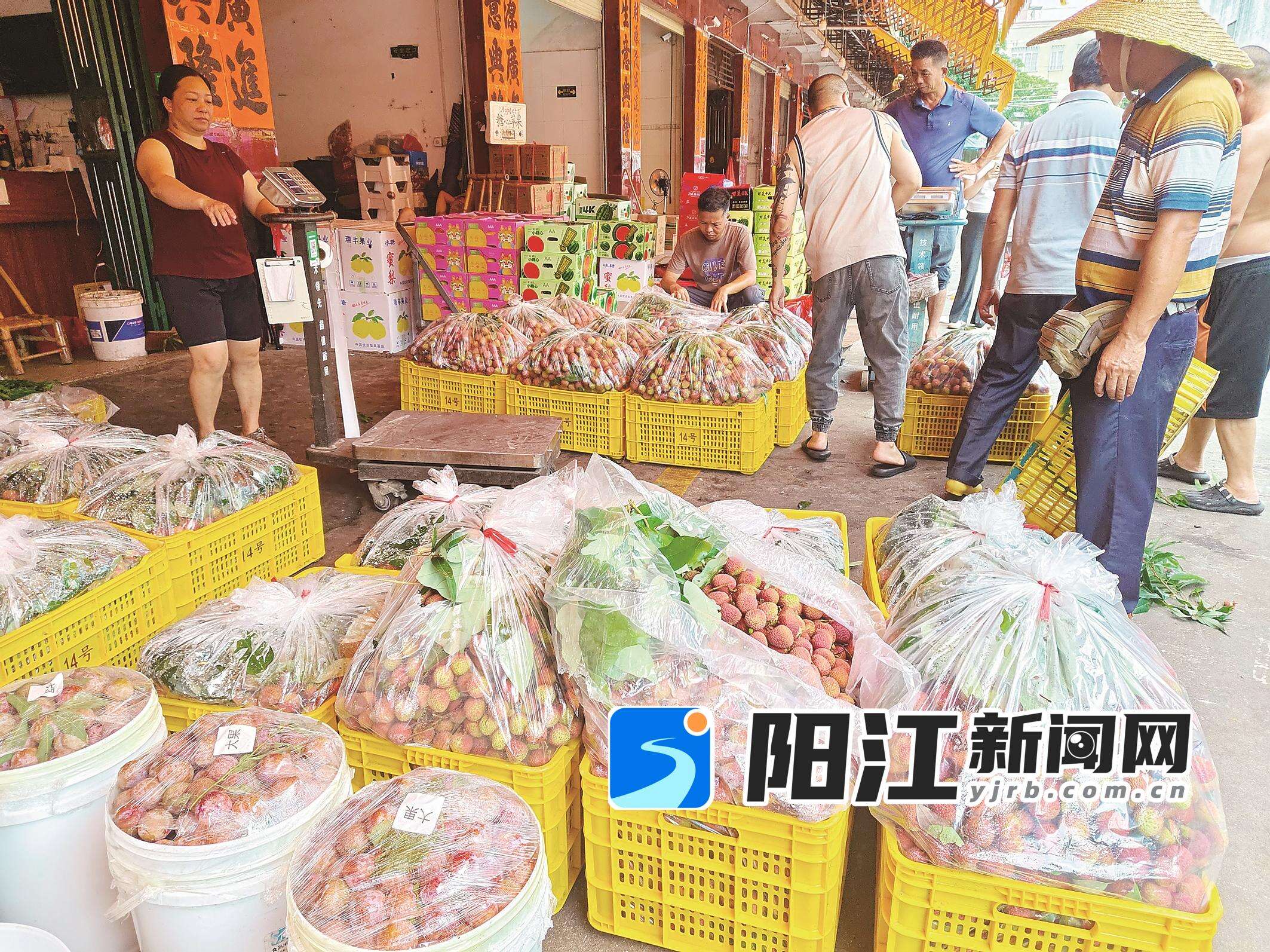 在金郊水果批发市场,新鲜荔枝供顾客挑选。官文婷 摄