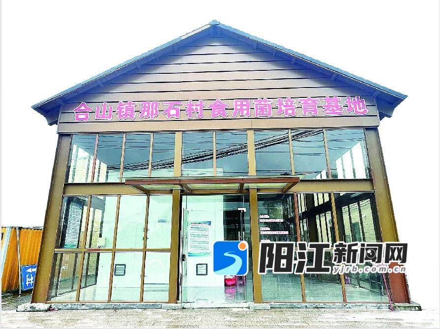 合山镇那石村食用菌培育基地7月正式投运。
