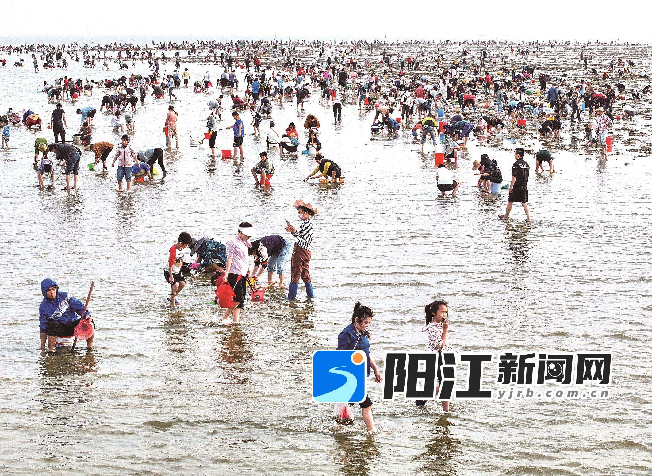 市民、游客在海边赶海。(图文无关)梁文栋 摄