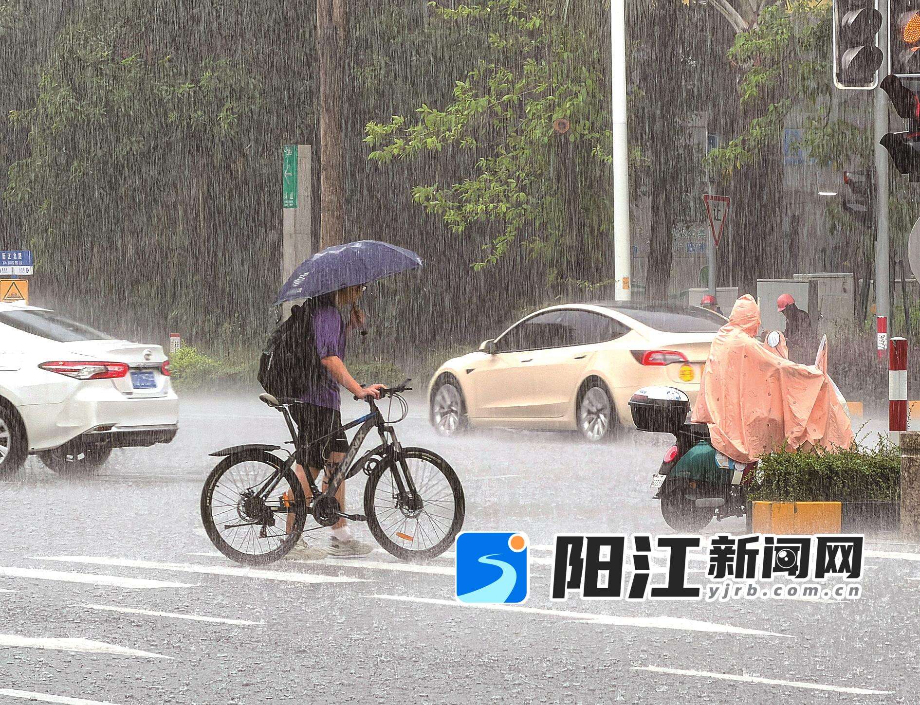 7月15日傍晚,市民冒雨骑行经过市区新江北路。近日,受对流云系影响,我市出现持续降水天气,多地发布雷雨大风黄色预警。梁文栋 摄