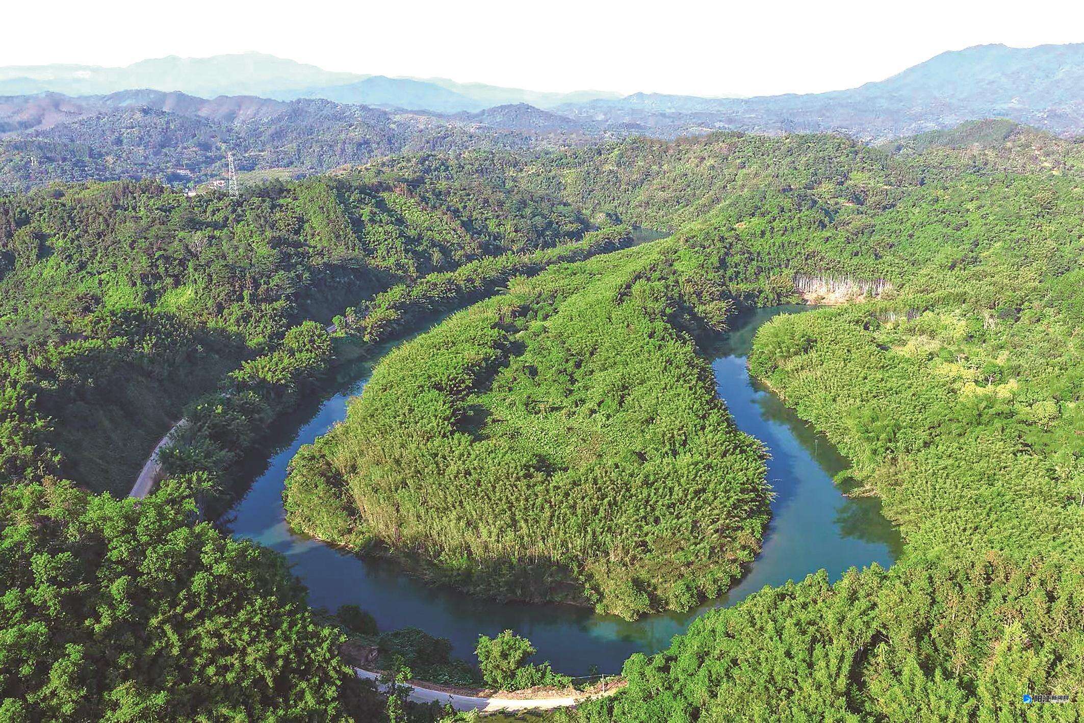 阳春林区里绿树碧水自成画卷(资料图片)。梁文栋 摄