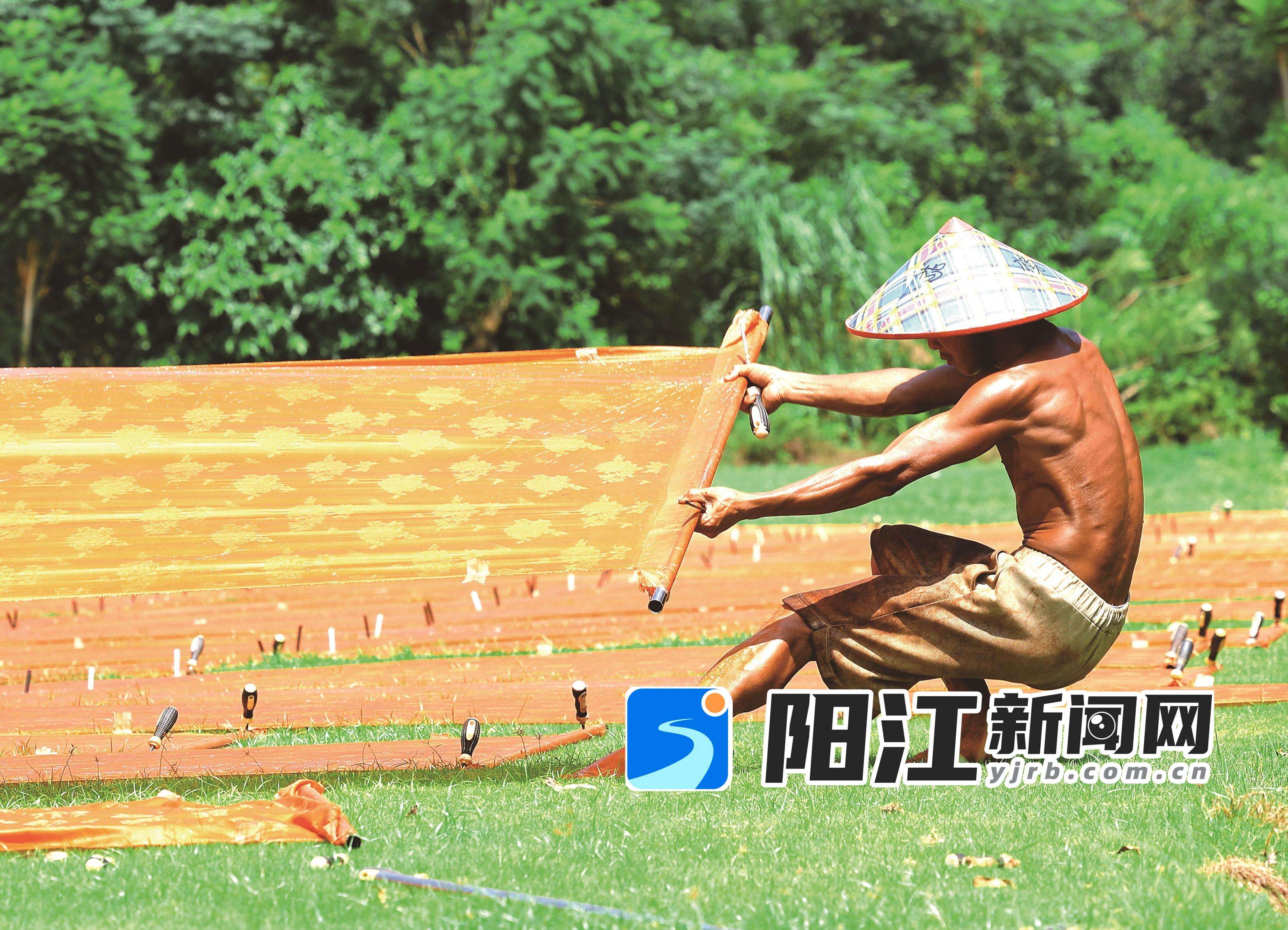 烈日下,合水镇香云纱产业生态示范园工人用力摊开香云纱晾晒。