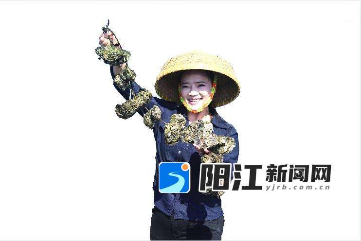 生蚝收获,叶文楚可高兴了。