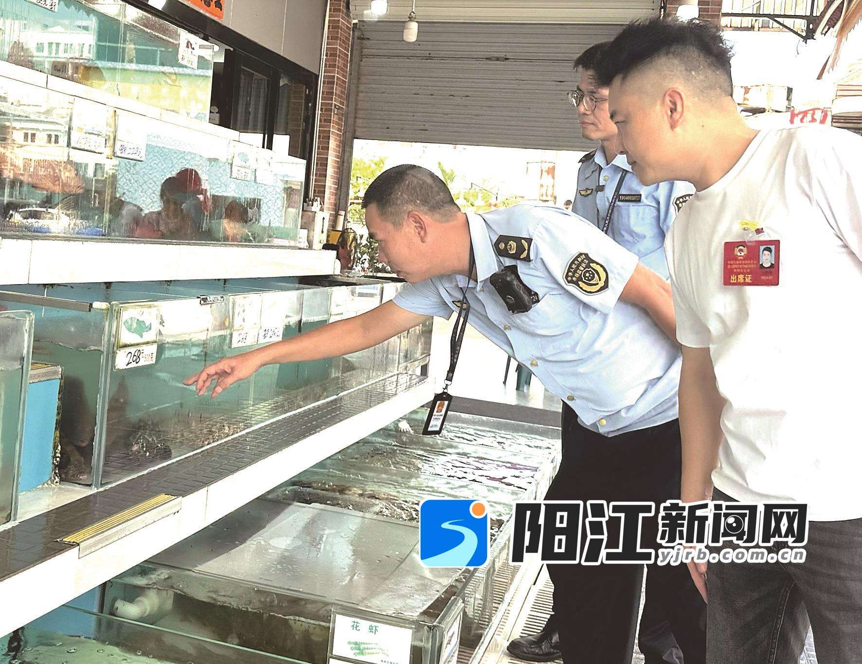 检查人员正在查看海鲜产品的明码标价情况。陈建华 摄