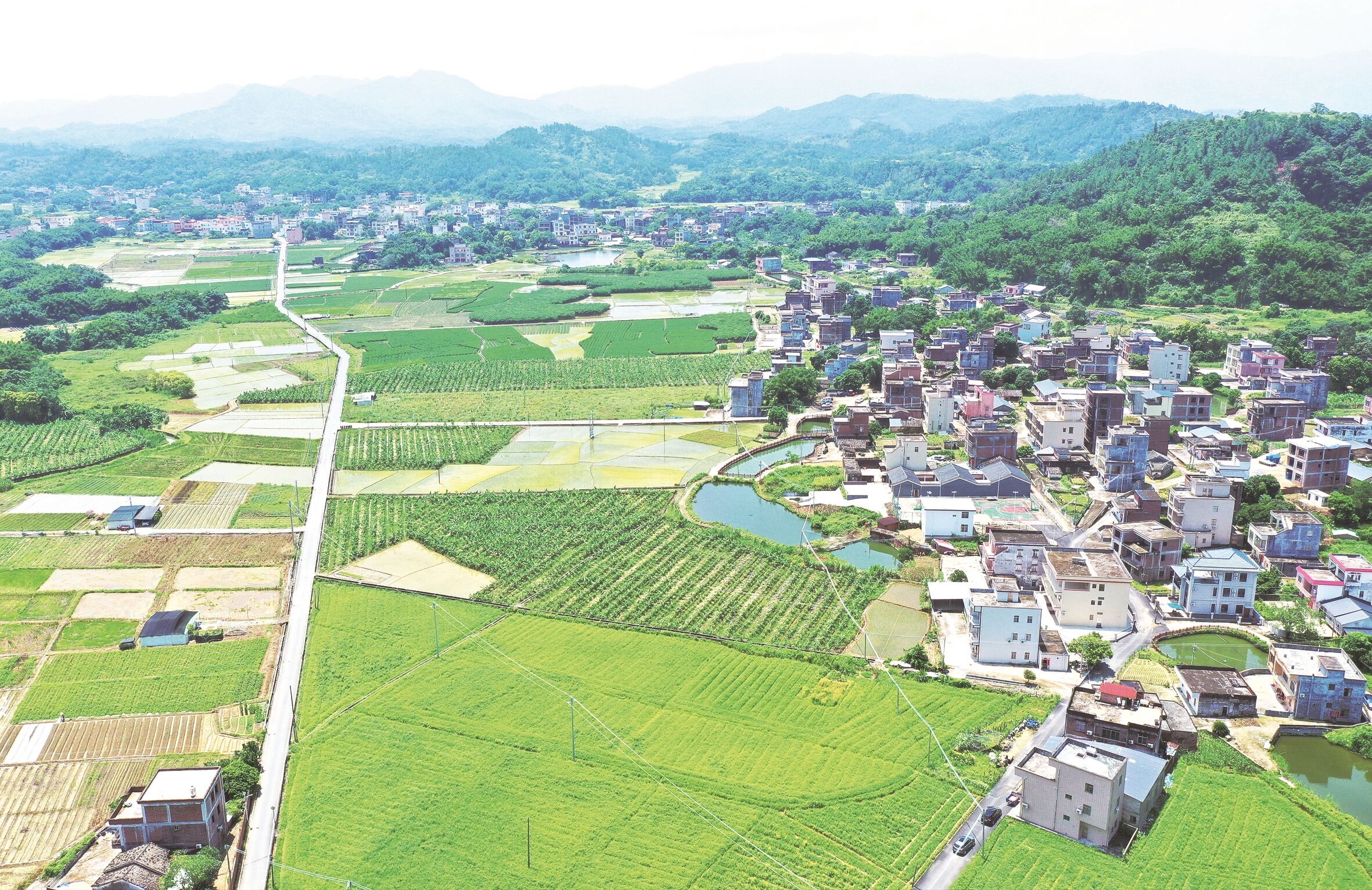 阳春市三甲镇大垌村美丽乡村新貌。谭文强 摄