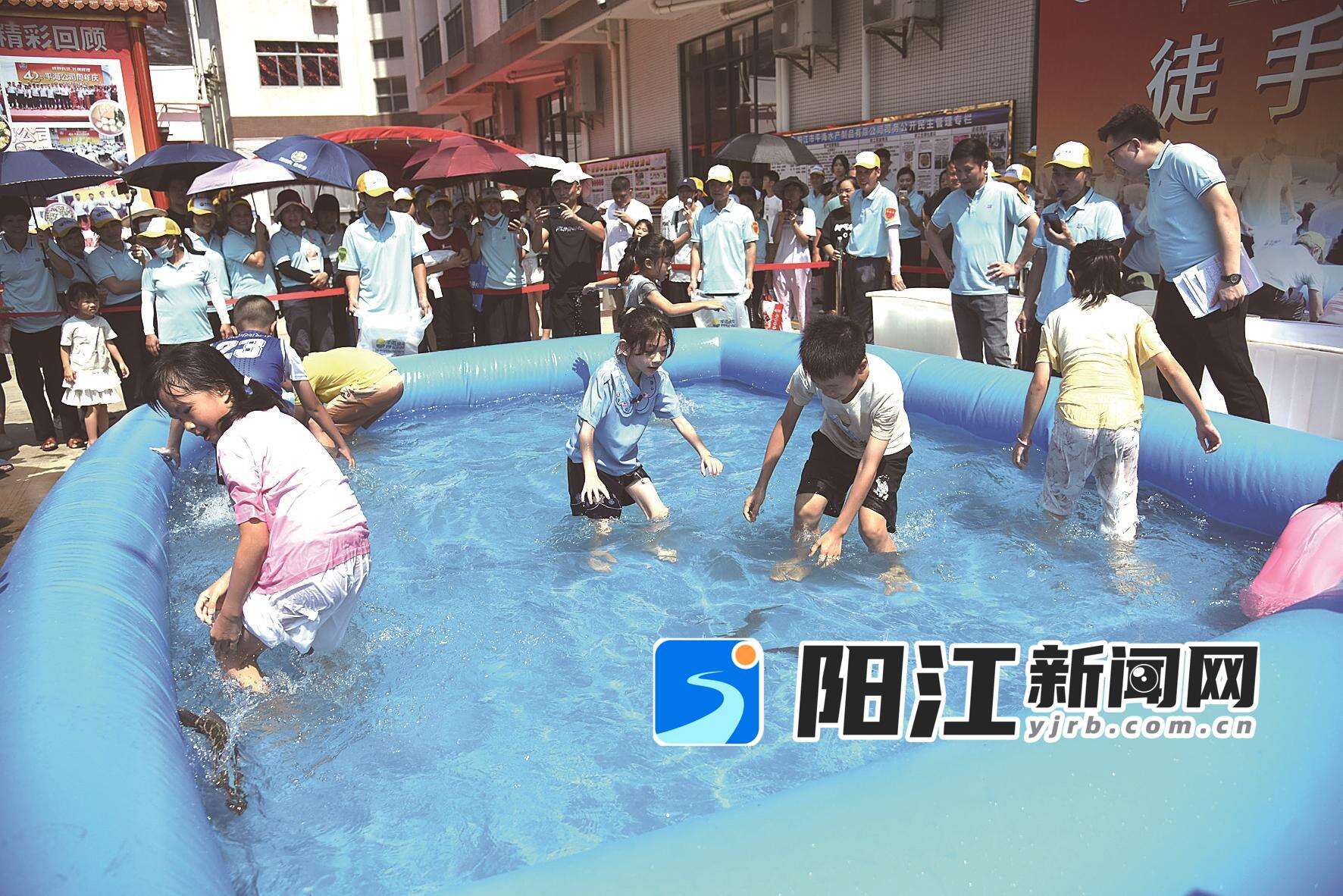 平冈镇,徒手抓鱼活动带来野趣、清凉与欢笑。 夏雨 摄