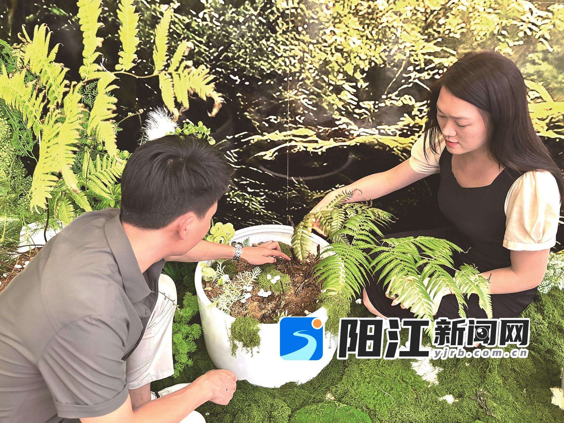 工作人员正在查看金毛狗脊的长势。盘聪颖 摄