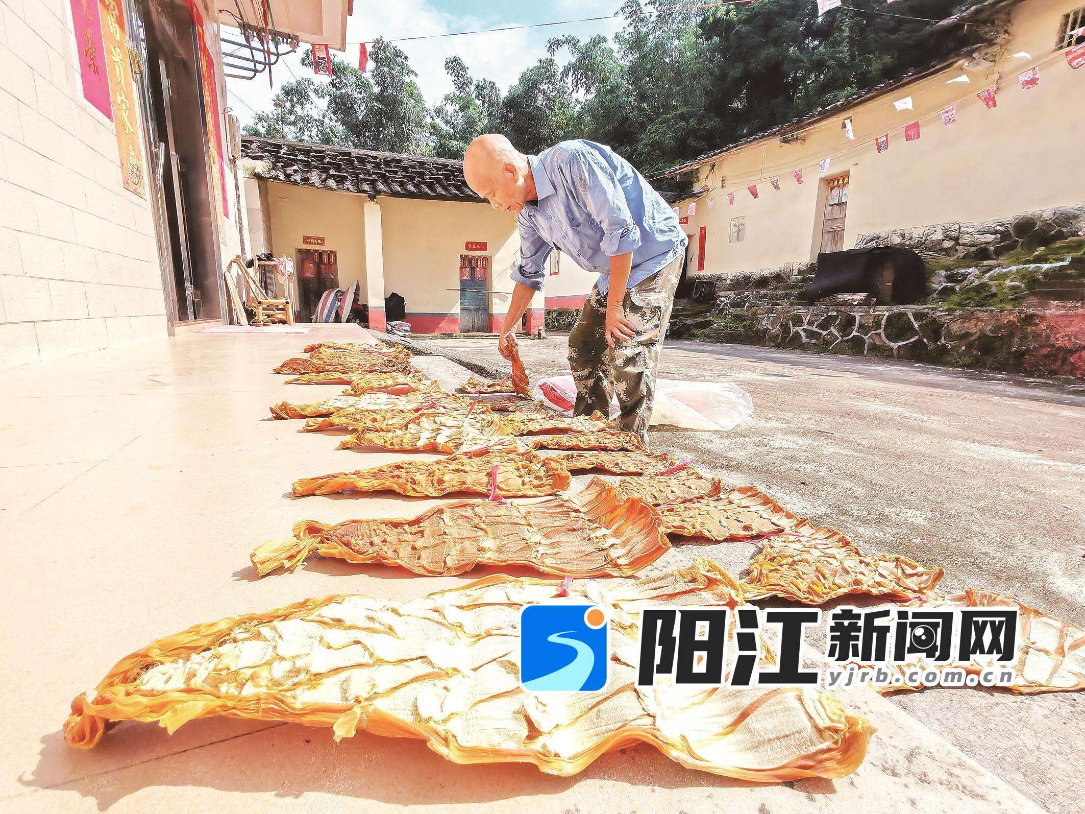 新墟镇东水村的农户在晒竹笋干。谭文强 摄