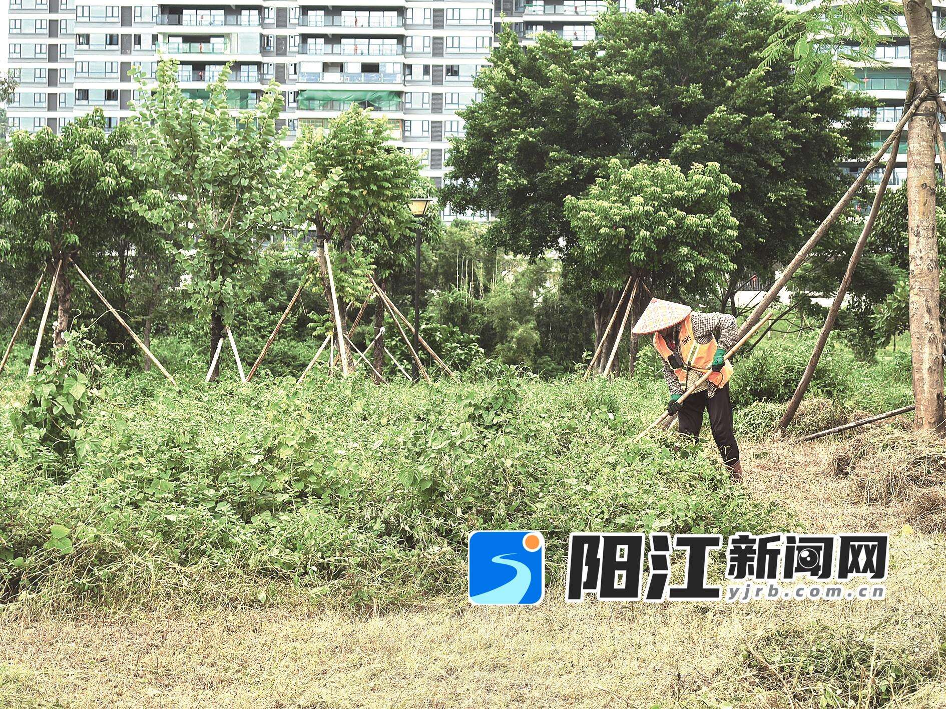 园林工作人员在共青湖公园除草。 陈海涛 摄
