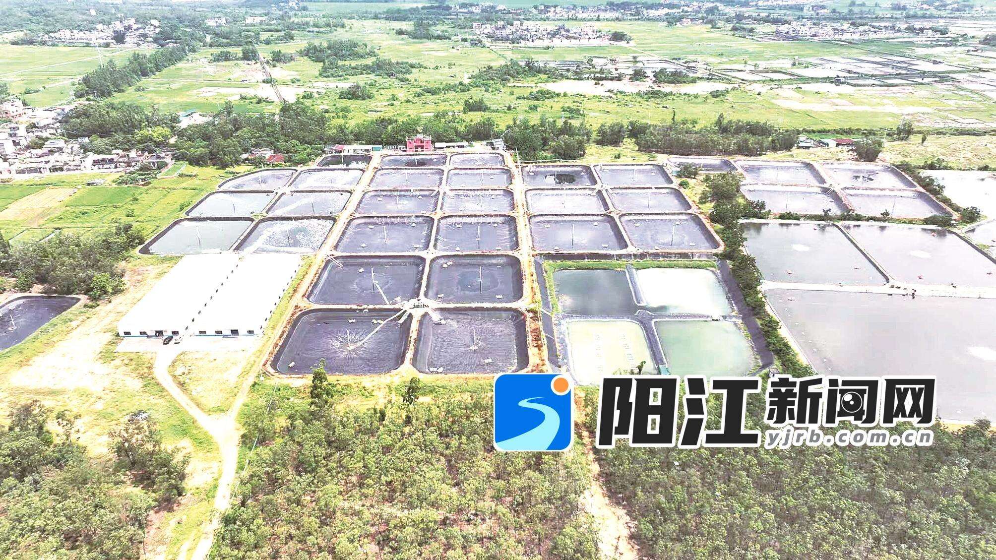 双轮驱动——阳江农商银行推出“水产气候贷”。