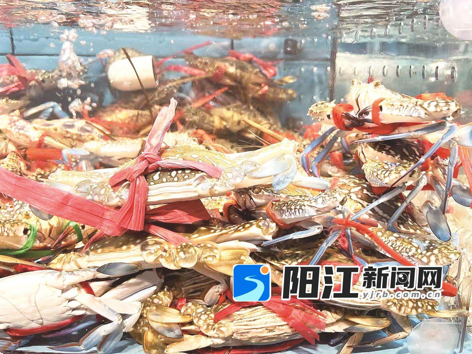 肥美螃蟹上了市民餐桌。