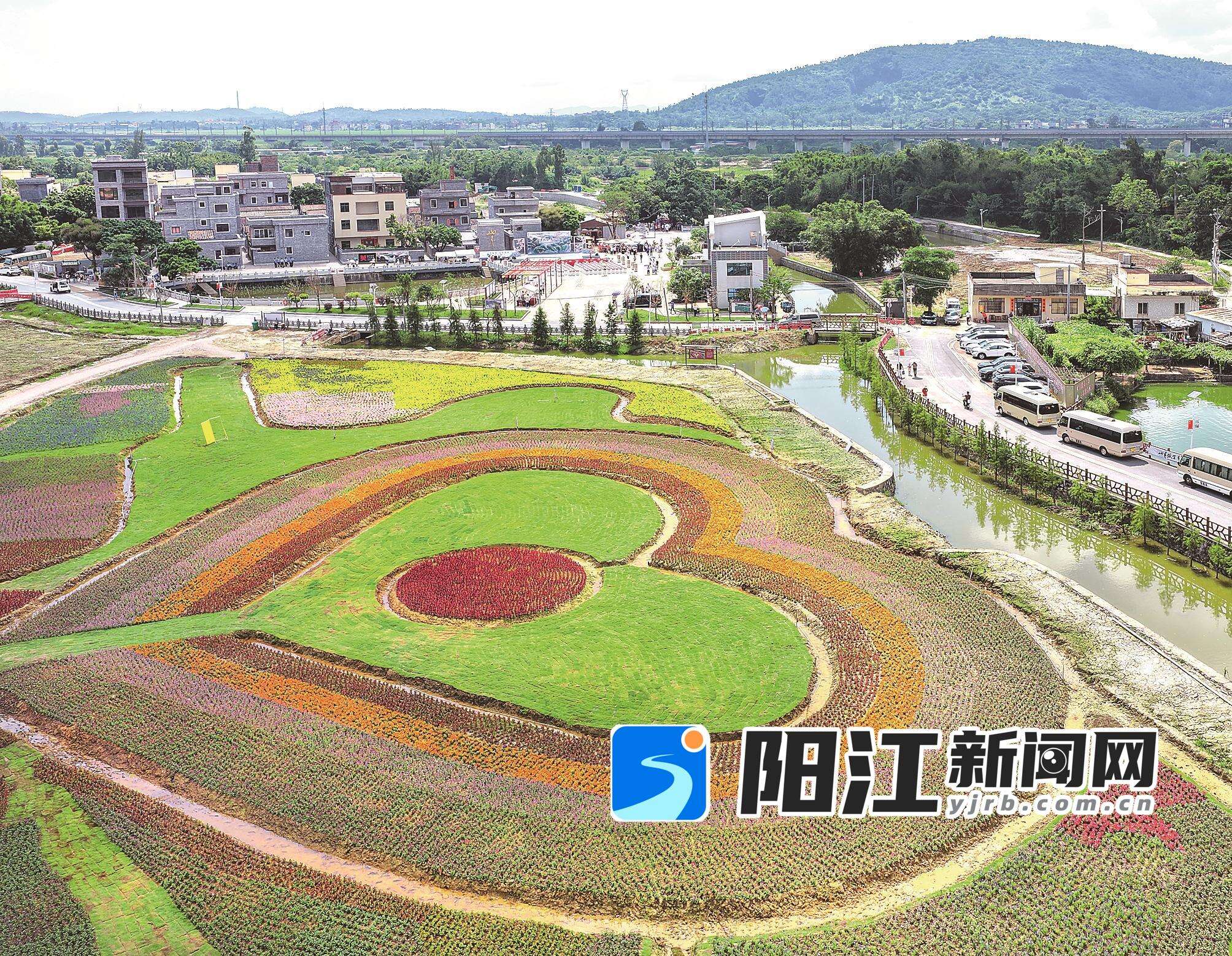 关山月故里江城区埠场镇那蓬村果园自然村花海。