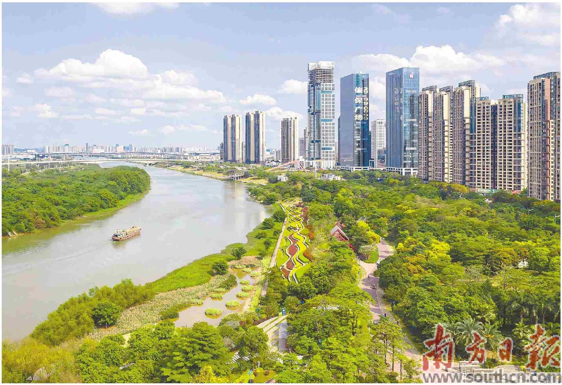 佛山市潭洲水道(顺德段)碧带。通讯员供图