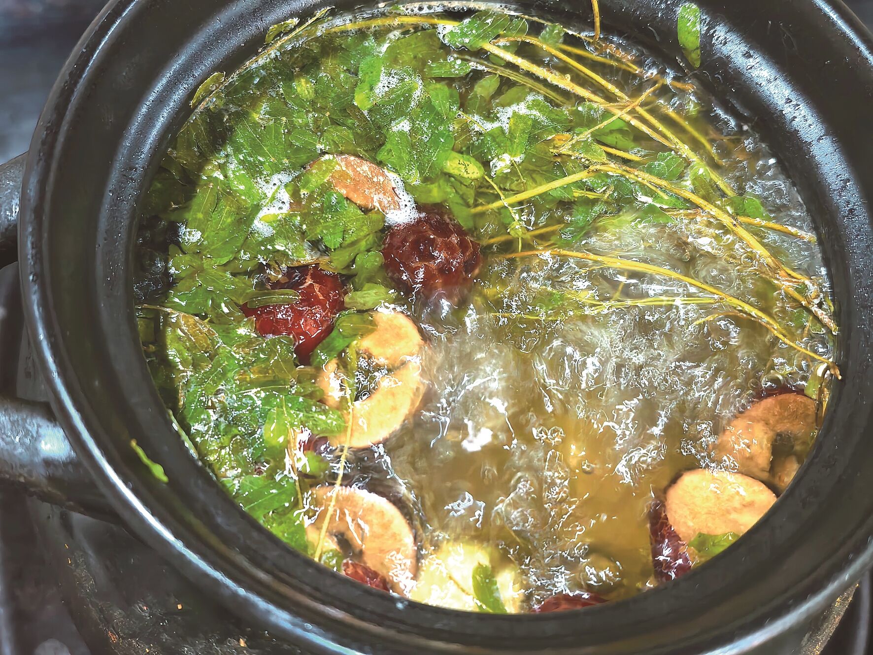 鸡骨草尾龙骨汤