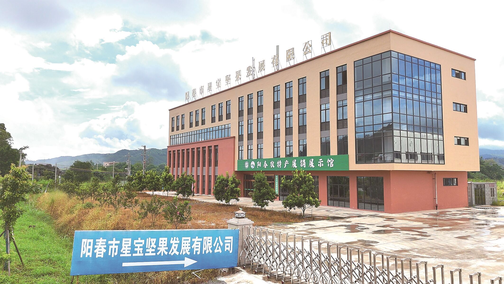 阳春市星宝坚果发展有限公司。
