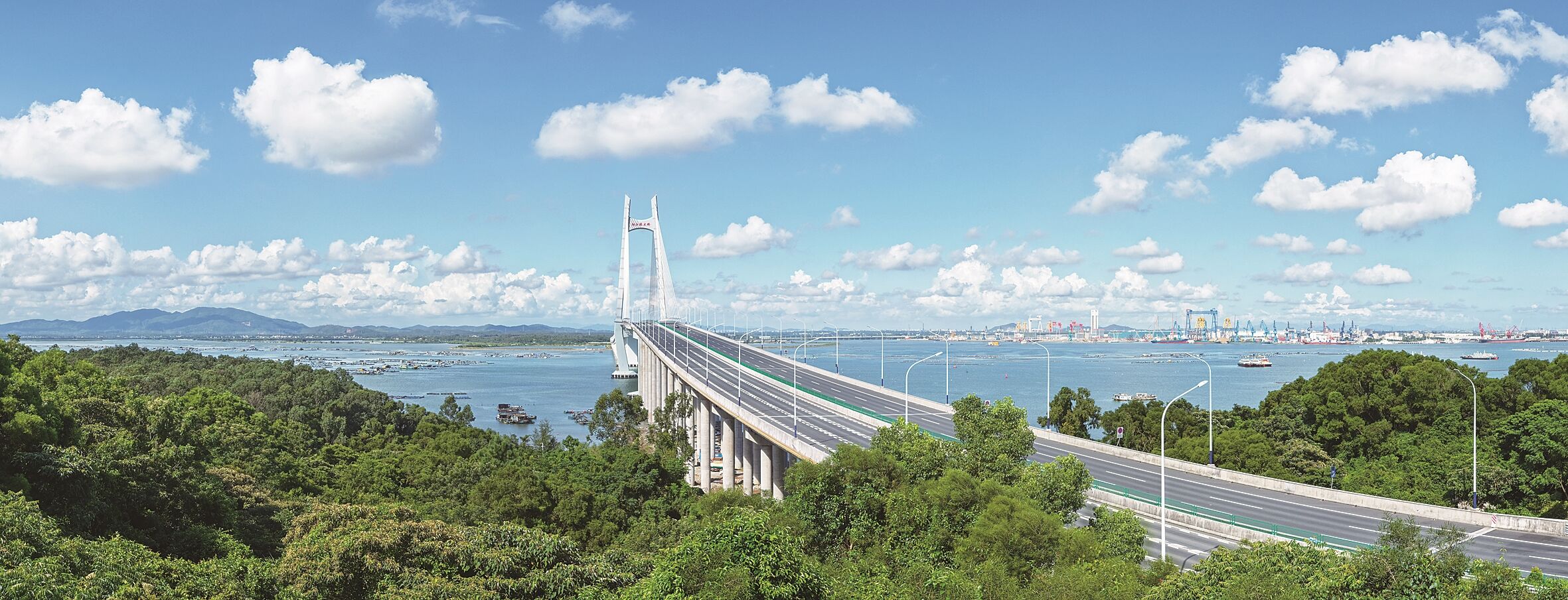 阳江境内最大跨海大桥——阳江港大桥。任宏柏 摄