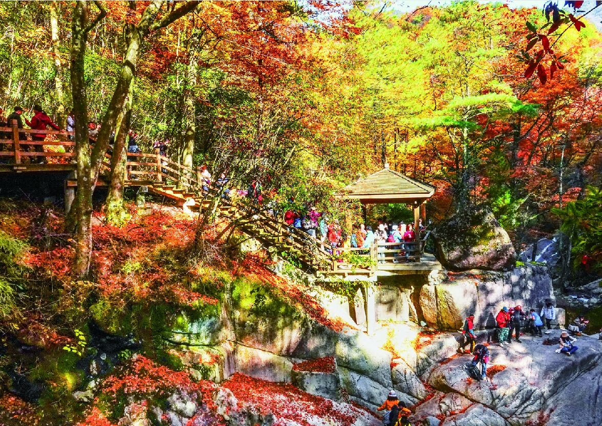 四川省南江县光雾山景区漫山层林。严春梅 摄
