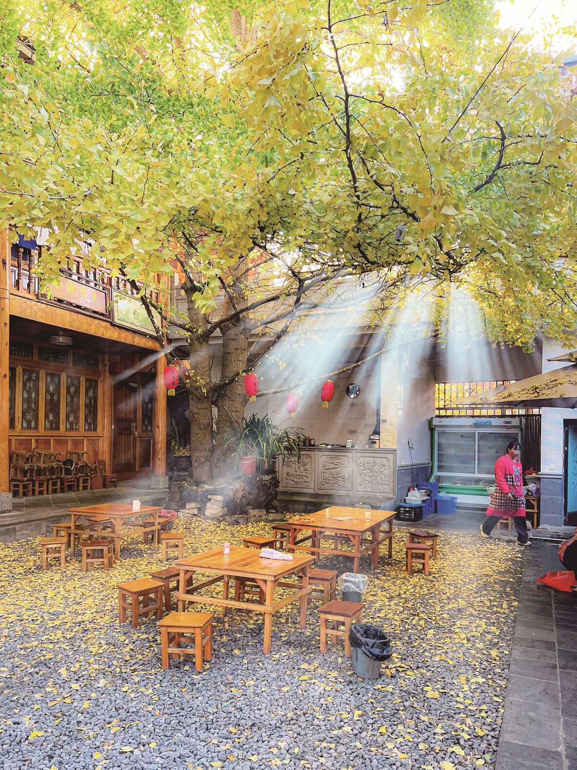 云南省腾冲市银杏村载满季节私语。冯绍安 摄