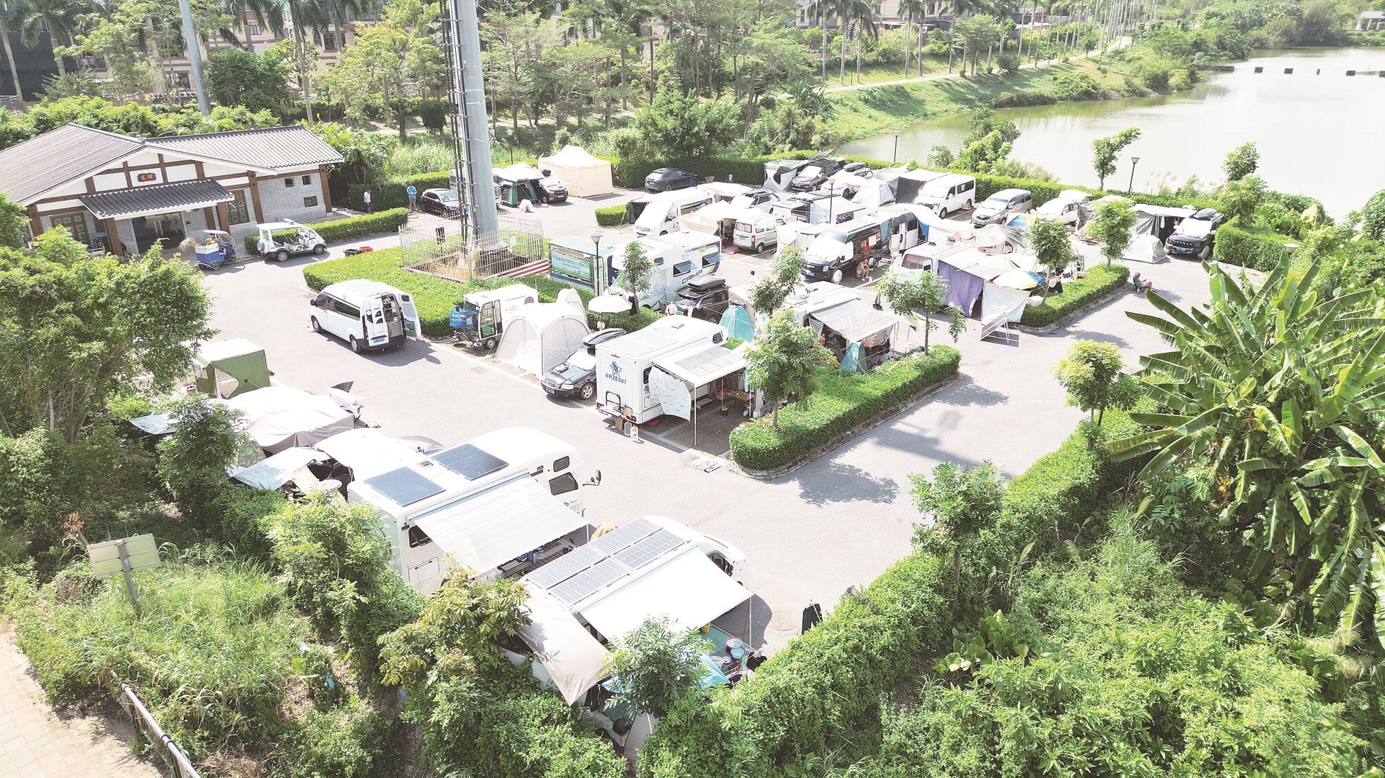 市区共青湖公园里停满了“候鸟”房车。